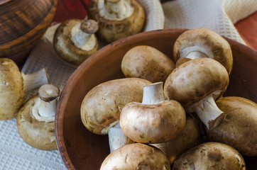 Fresh royal mushrooms