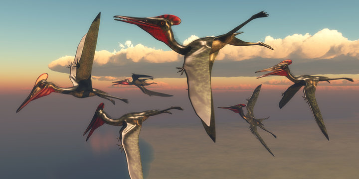 Pterodactylus Pterosaurs in Flight - A flock of Pterodactylus Pterosaurs fly out to the ocean to hunt for fish in the Jurassic Period. 