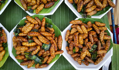fried spicy worm in banana leaf, snack in thailand