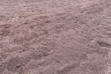 Just dug up a field ready for planting potatoes