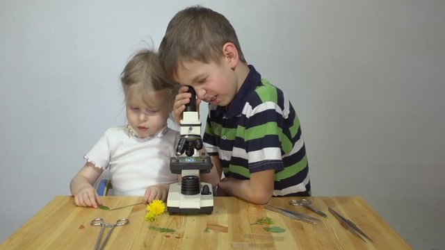 A boy in a striped T-shirt and a little girl are studying parts of plants, being at a wooden table next to a white wall. The brother teaches his sister to use a microscope.