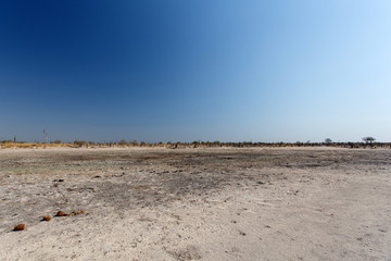 Okavango Delta - Moremi N.P.