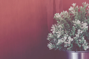 close up artificial plant with blurry wooden wall background, filtered tones
