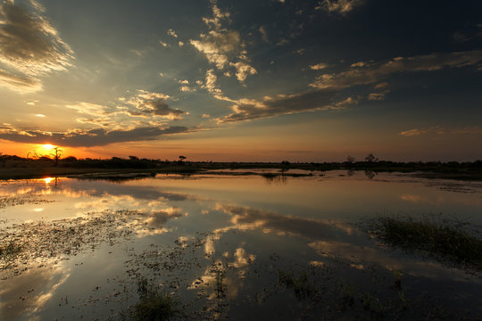 Okavango Delta, Africa