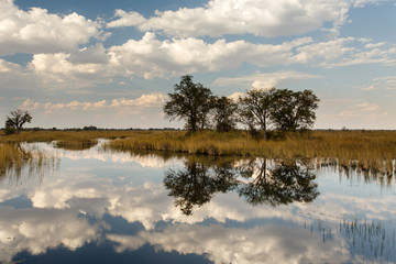 Okavango Delta, Africa