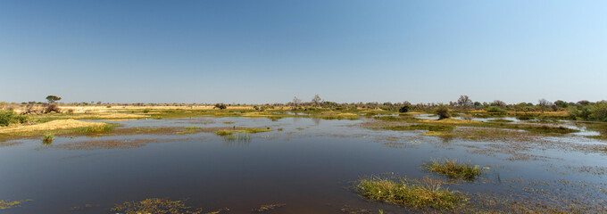 Okavango Delta, Africa