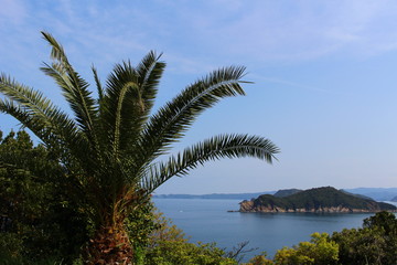 The scenery of the sea from a coast in Wakayama.