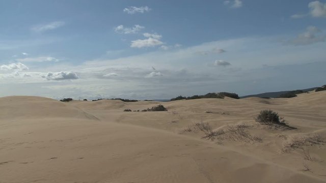 Sand dunes South Africa