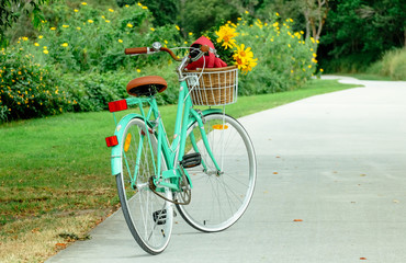 Fototapeta na wymiar A bicycle in a park