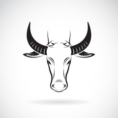 Vector of a buffalo head on white background. Wild Animals.