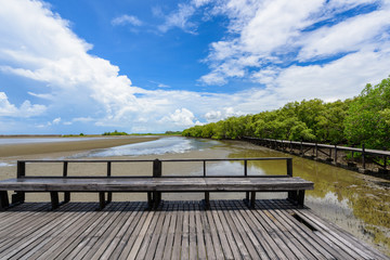 Nature learning path, made from wooden, and walk through Ceriops tagal forest