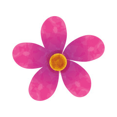 beautiful Flower decoration icon vector illustration design