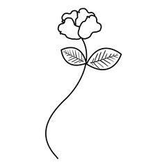 beautiful rose decoration icon vector illustration design