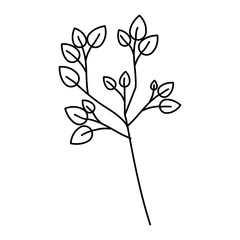 leafs plant decorative icon vector illustration design