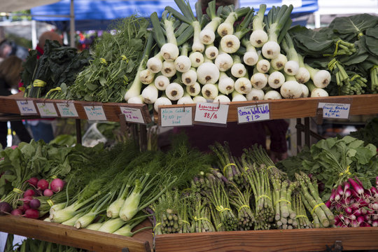 Local Farmers Market Stand,Isolated View Assortment  of Fresh Organic Vegetables, Daytime, Background Backdrop Use with Text Copy Space Overlay (HDR Image) - Eugene, Oregon, USA