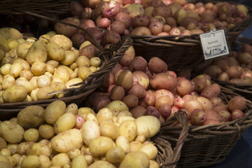 Isolated Close View of Fresh Organic Baby ellow and Red Potatoes in Baskets, Local Farmers Market, Background Backdrop Use with Text Copy Space Overlay (HDR Image) -  - Eugene, Oregon, USA