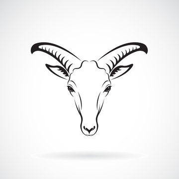 Vector of a goats mountain head on white background. Wild Animals.