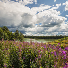 Summer cloudy day