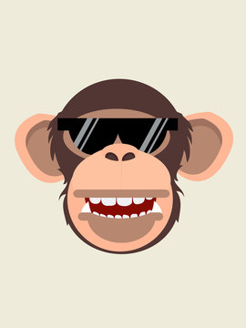 chimpanzee head in glasses
