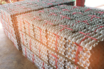 Abstract soft blurred and soft focus the eggs from the chicken farm in the package.Nice and clean...