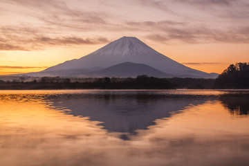 Fototapeta premium 精進湖から夜明けの富士山