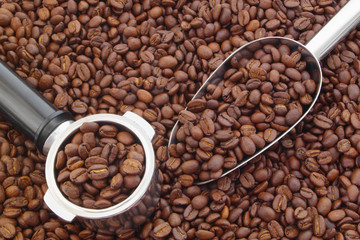 Arabica coffee beans in portafilter and metallic shovel on roasted coffee, espresso coffee concept