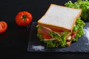 Sandwich on a dark background