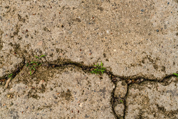 Old concrete wall
