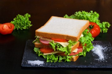 Sandwich on a dark background