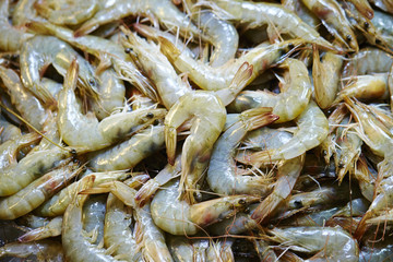 prawns