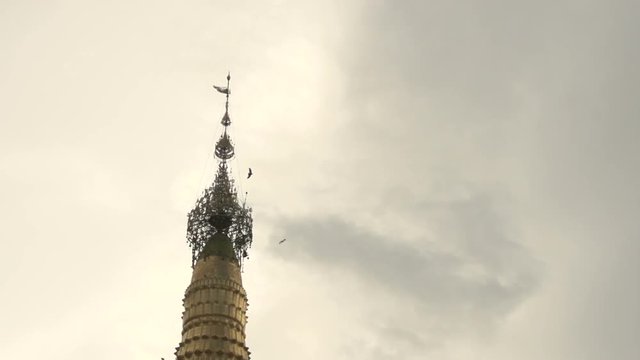 Pathein, pigeons flying over at Shwemokehtaw Pagoda