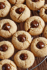 Fresh sugar cookies with chocolate