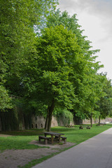 Fototapeta premium champs de mars