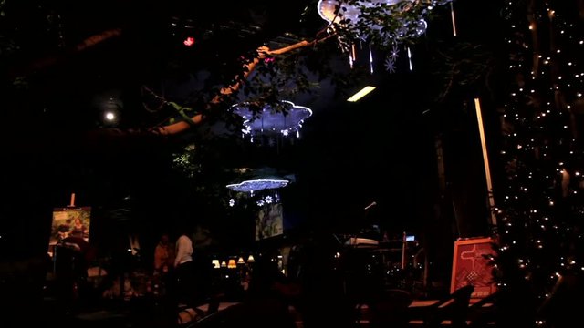 Christmas and New Year Decoration