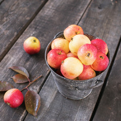 Fresh ripe apples in a small bucket on a background of aged wood