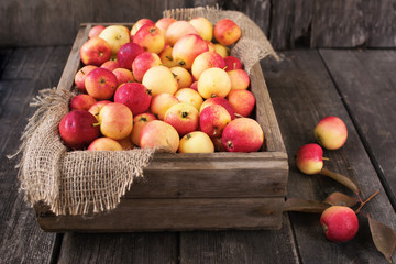 Fresh ripe apples in box on wooden background of aged wood.