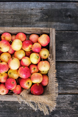 Fresh ripe apples in box on wooden background of aged wood