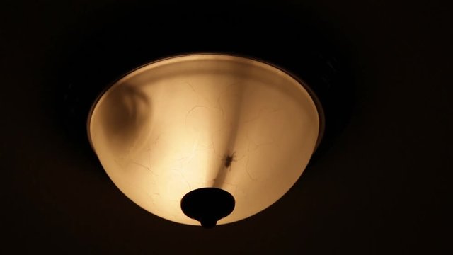 Spider stuck in light fixture