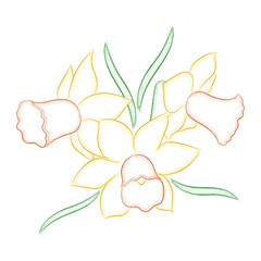Vector illustration. Three beautiful narcissus painted strokes and dots.