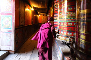 lama © jing