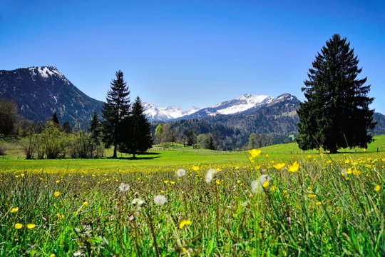 Landschaft in den Alpen im Frühling