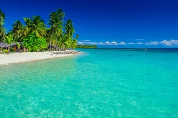 Crédence de cuisine en plexiglas Plage tropicale Île tropicale aux Fidji, palmiers et plage