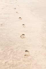 Feet prints one person on a sandy beach.
