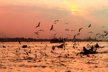 Yangon river sunset