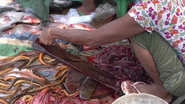Mandalay, Woman fillets fish on the ground at the fish market