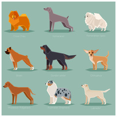 Dog flat icons set