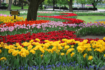 City Park: flowers and trees