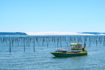 Fototapeta premium BASSIN D'ARCACHON, vue sur la dune du Pyla