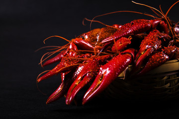 Crawfish, white background, close-up