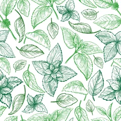Wallpaper murals Tea Mint hand sketch vector illustration seamless texture. Peppermint engraved drawing of menthol leaves isolated on white background. Leaf herbal spearmint plant
